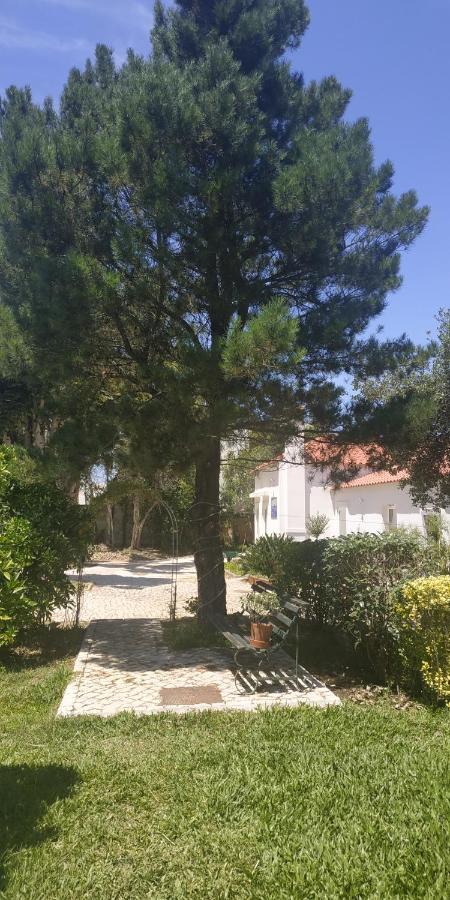Casa De Arcos Guest House Anadia Exterior foto
