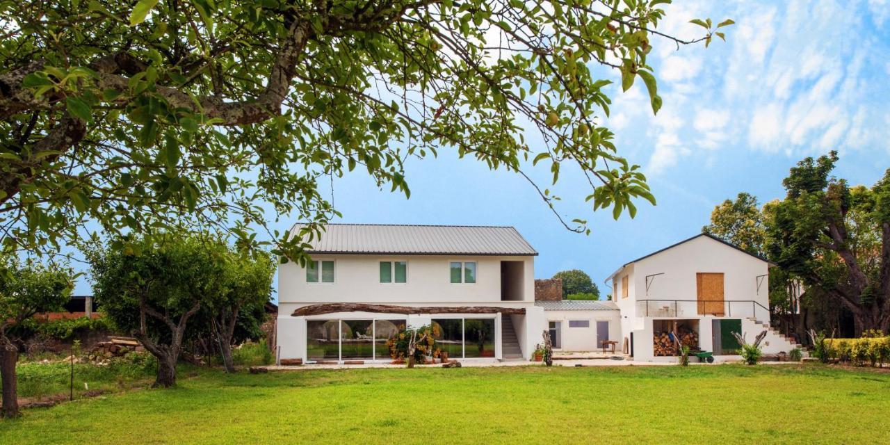 Casa De Arcos Guest House Anadia Exterior foto